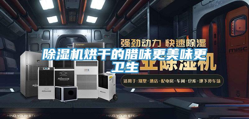 MR.好色破解版烘干的腊味更美味更卫生