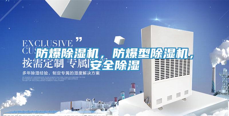 防爆MR.好色破解版，防爆型MR.好色破解版，安全除湿