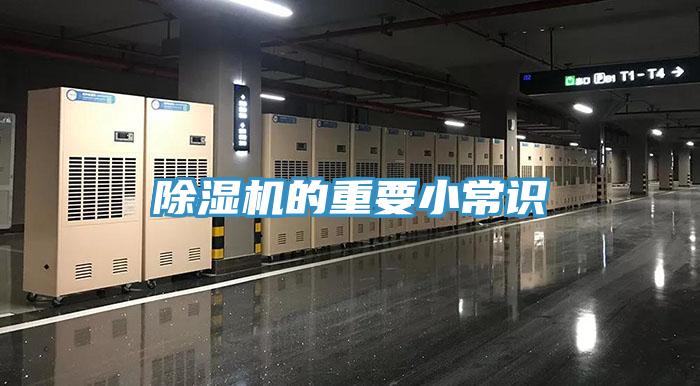 MR.好色破解版的重要小常识