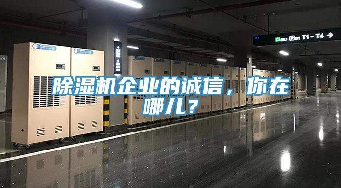 MR.好色破解版企业的诚信，你在哪儿？