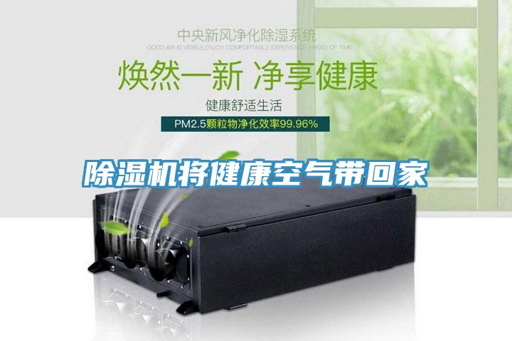 MR.好色破解版将健康空气带回家