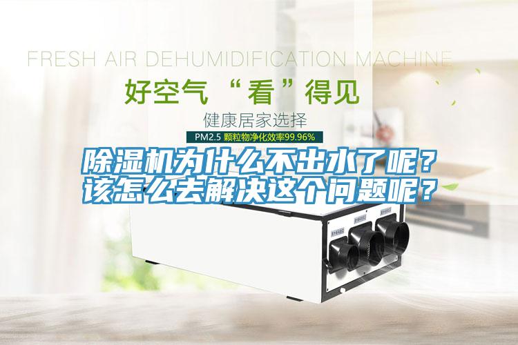 MR.好色破解版为什么不出水了呢？该怎么去解决这个问题呢？