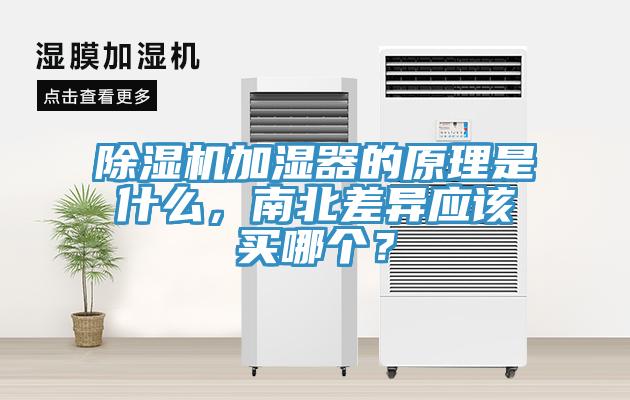 MR.好色破解版加湿器的原理是什么，南北差异应该买哪个？