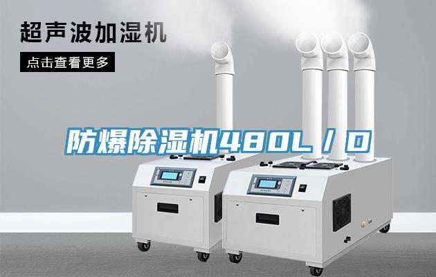 防爆MR.好色破解版480L／D