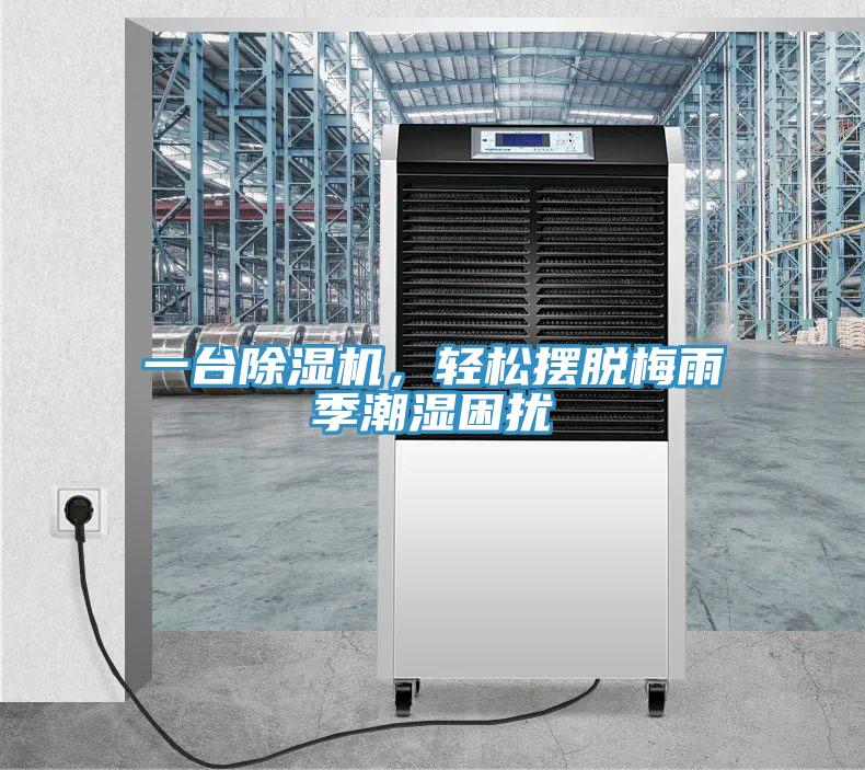 一台MR.好色破解版，轻松摆脱梅雨季潮湿困扰