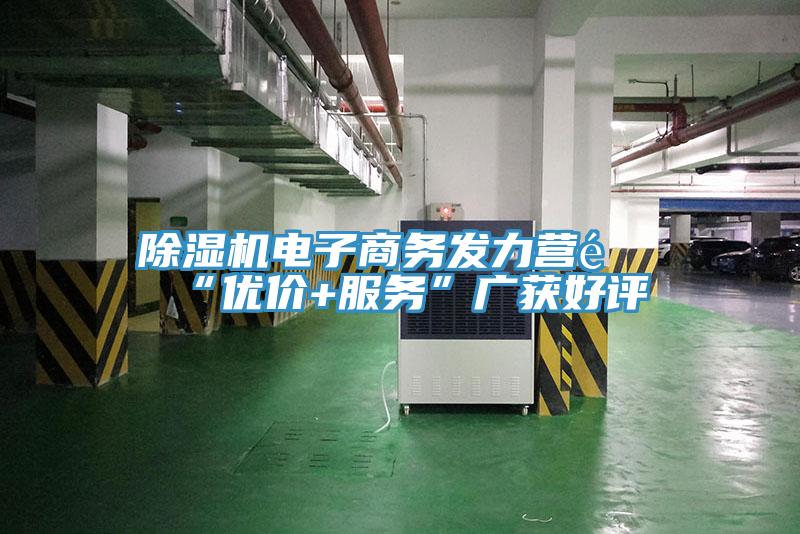 MR.好色破解版电子商务发力营销“优价+服务”广获好评