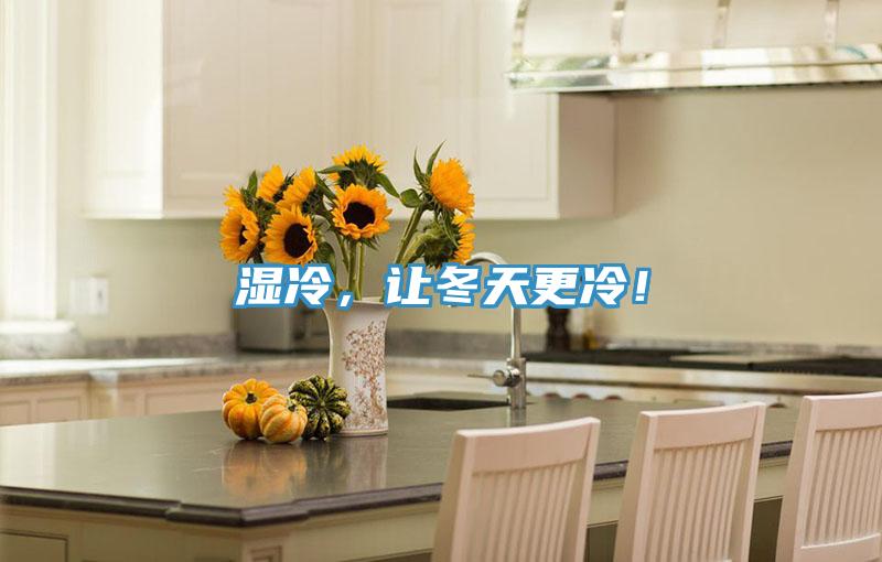 湿冷，让冬天更冷！