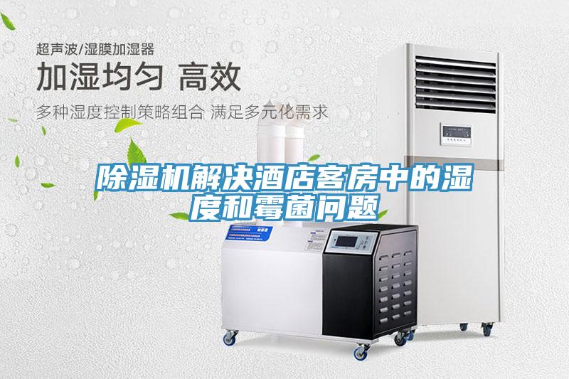 MR.好色破解版解决酒店客房中的湿度和霉菌问题
