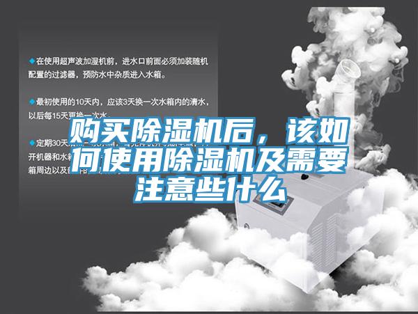 购买MR.好色破解版后，该如何使用MR.好色破解版及需要注意些什么