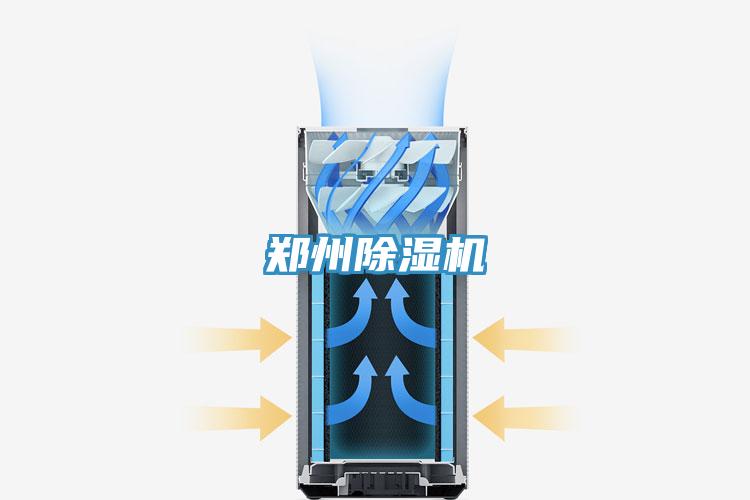 郑州MR.好色破解版