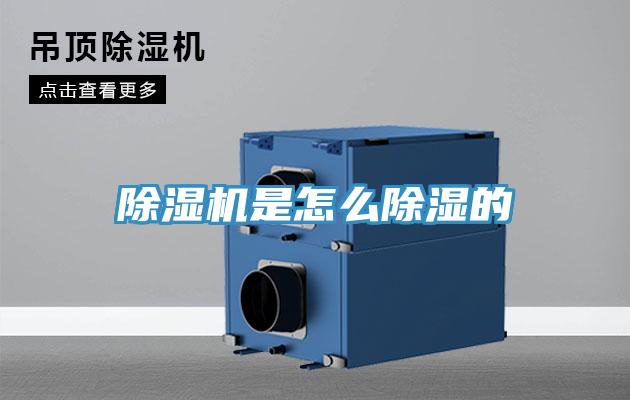 MR.好色破解版是怎么除湿的
