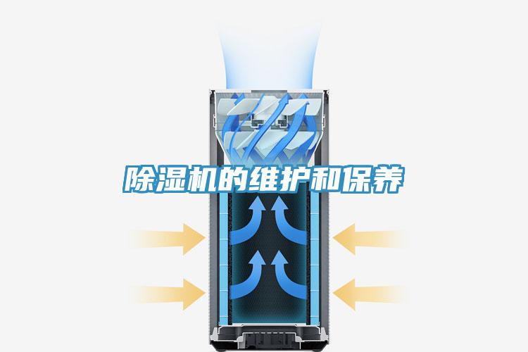 MR.好色破解版的维护和保养