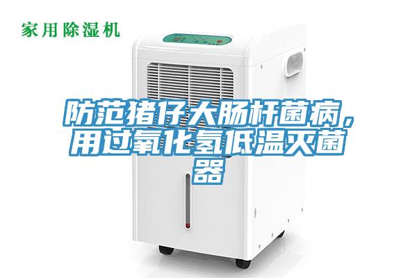 防范猪仔大肠杆菌病，用过氧化氢低温灭菌器