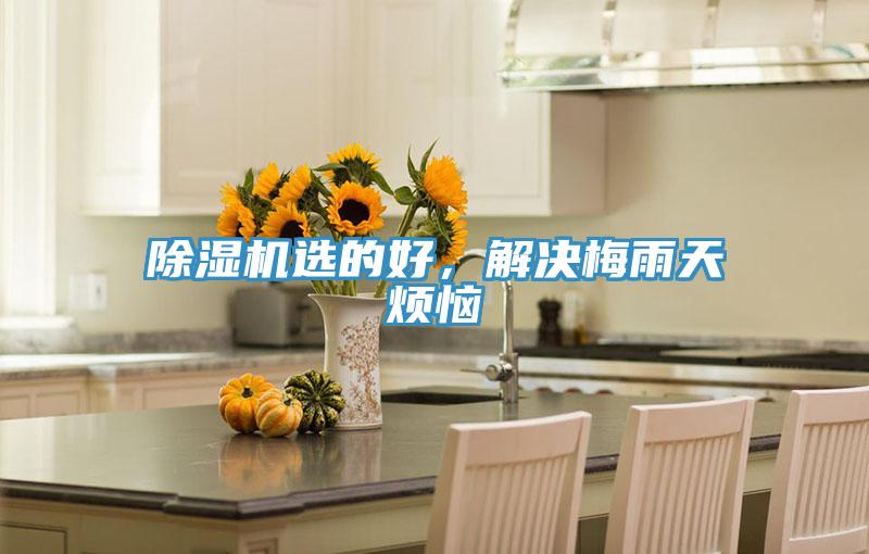 MR.好色破解版选的好，解决梅雨天烦恼