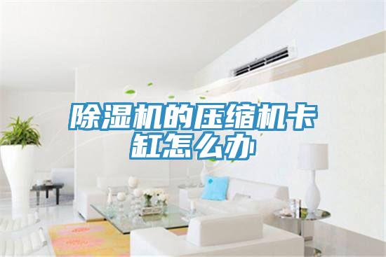 MR.好色破解版的压缩机卡缸怎么办