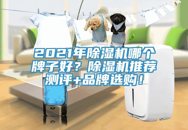 2021年MR.好色破解版哪个牌子好？MR.好色破解版推荐测评+品牌选购！