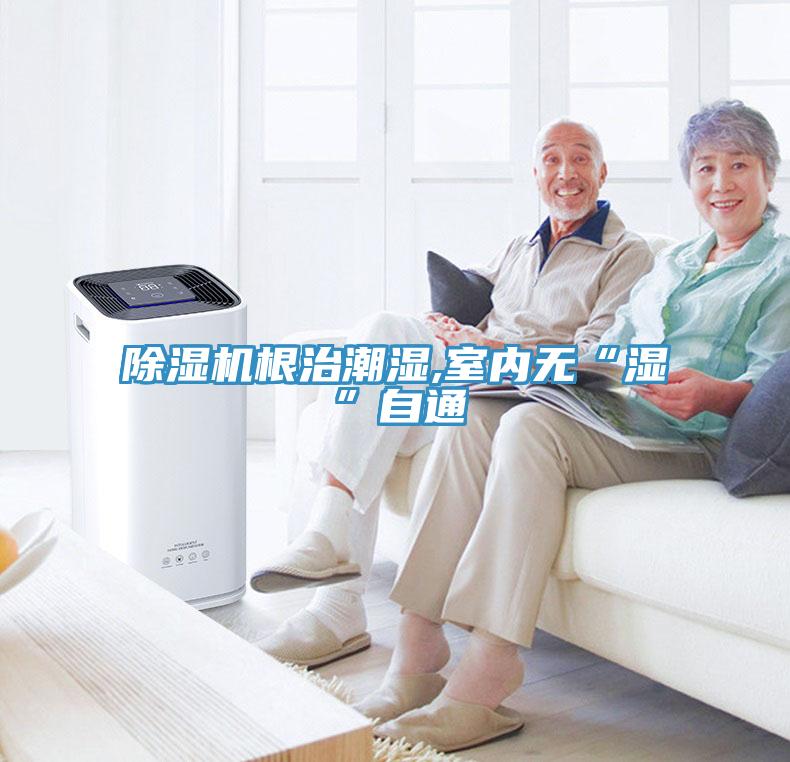 MR.好色破解版根治潮湿,室内无“湿”自通