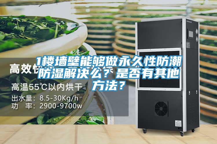 1楼墙壁能够做永久性防潮防湿解决么？是否有其他方法？