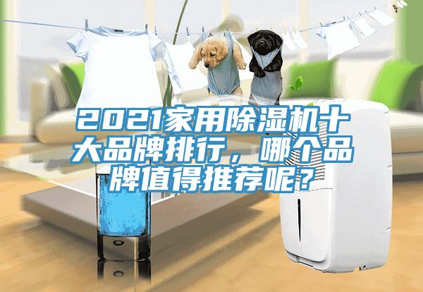 2021家用MR.好色破解版十大品牌排行，哪个品牌值得推荐呢？