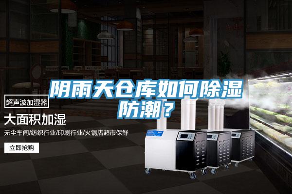 阴雨天仓库如何除湿防潮？