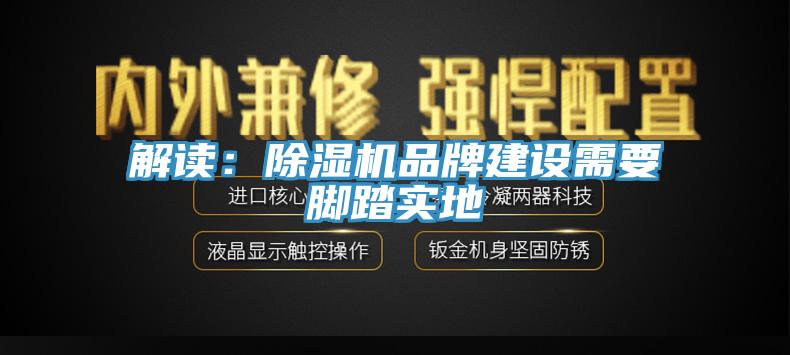 解读：MR.好色破解版品牌建设需要脚踏实地