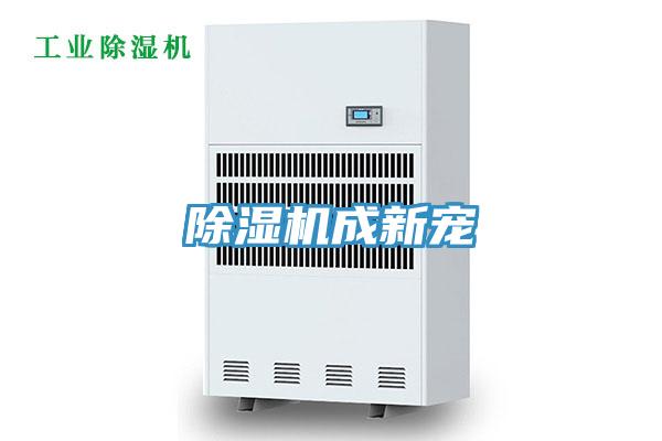 MR.好色破解版成新宠