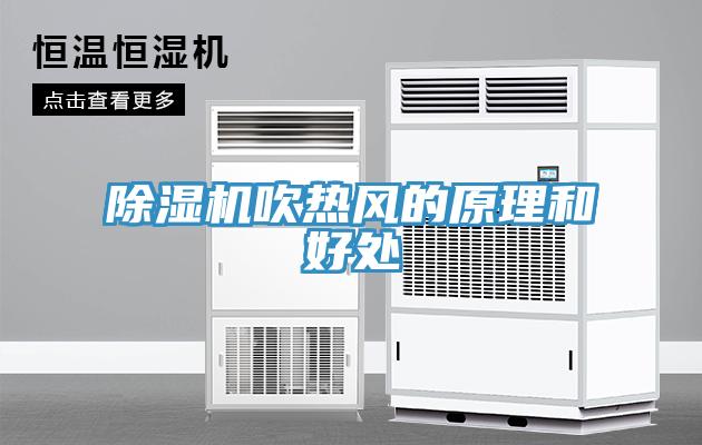 MR.好色破解版吹热风的原理和好处