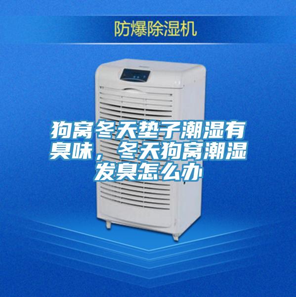 狗窝冬天垫子潮湿有臭味，冬天狗窝潮湿发臭怎么办