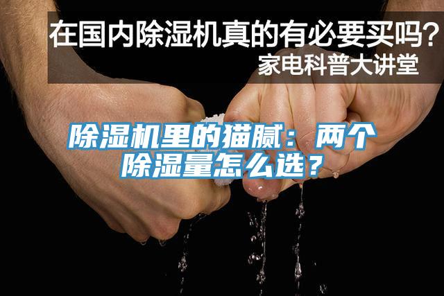 MR.好色破解版里的猫腻：两个除湿量怎么选？