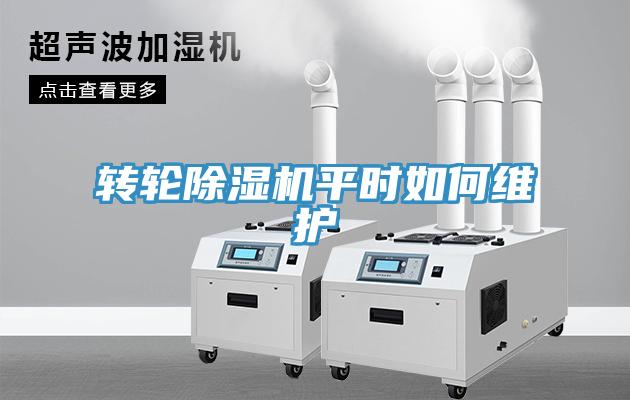 转轮MR.好色破解版平时如何维护