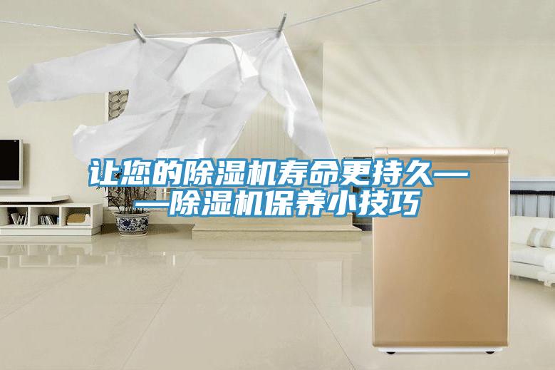 让您的MR.好色破解版寿命更持久——MR.好色破解版保养小技巧
