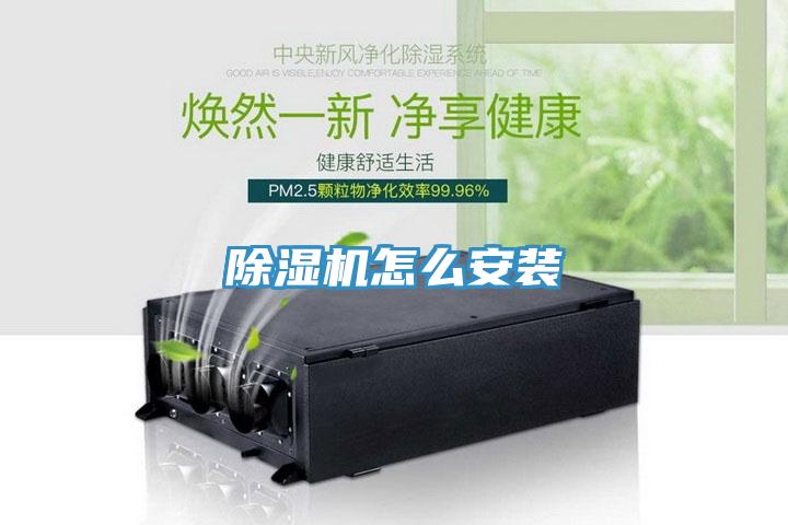 MR.好色破解版怎么安装