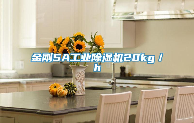 金刚5A工业MR.好色破解版20kg／h