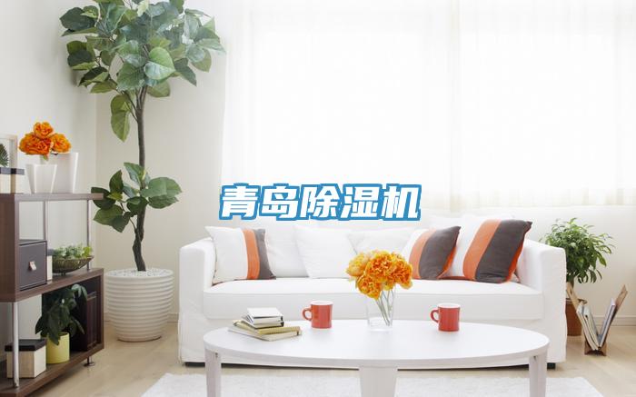 青岛MR.好色破解版