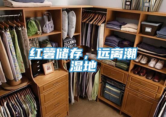 红薯储存，远离潮湿地