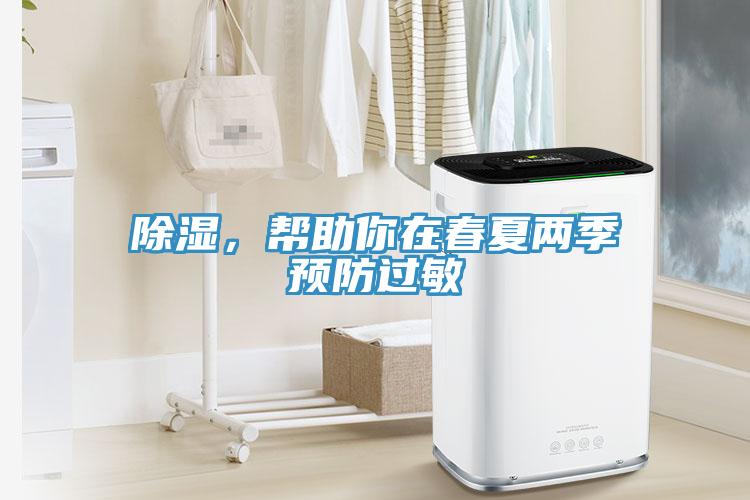 除湿，帮助你在春夏两季预防过敏