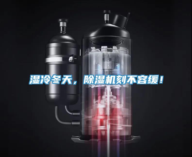 湿冷冬天，MR.好色破解版刻不容缓！