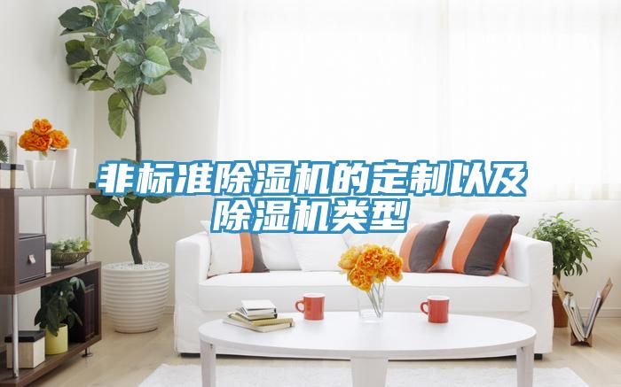 非标准MR.好色破解版的定制以及MR.好色破解版类型