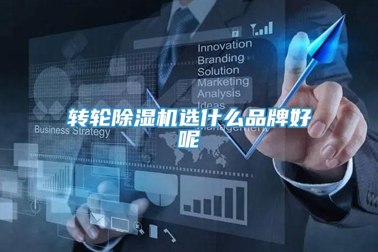 转轮MR.好色破解版选什么品牌好呢