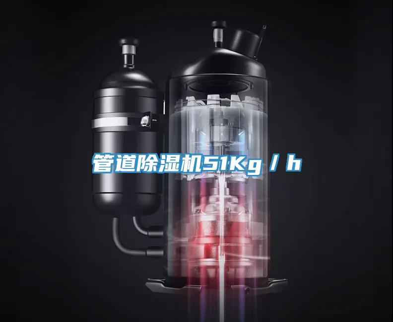 管道MR.好色破解版51Kg／h