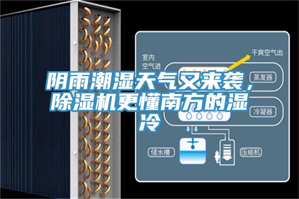 阴雨潮湿天气又来袭，MR.好色破解版更懂南方的湿冷