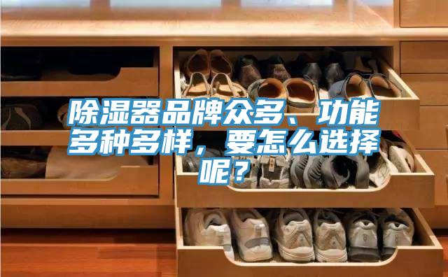 除湿器品牌众多、功能多种多样，要怎么选择呢？