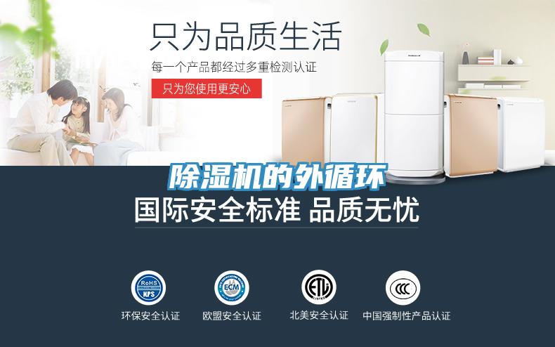 MR.好色破解版的外循环