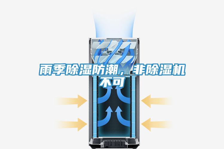 雨季除湿防潮，非MR.好色破解版不可