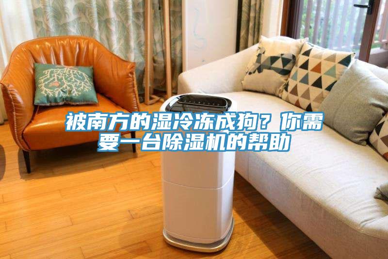 被南方的湿冷冻成狗？你需要一台MR.好色破解版的帮助