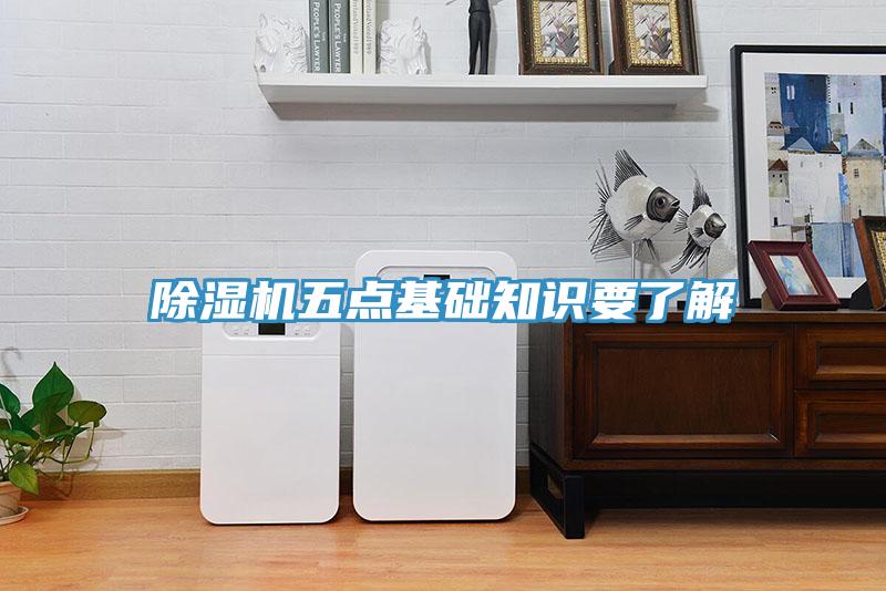 MR.好色破解版五点基础知识要了解