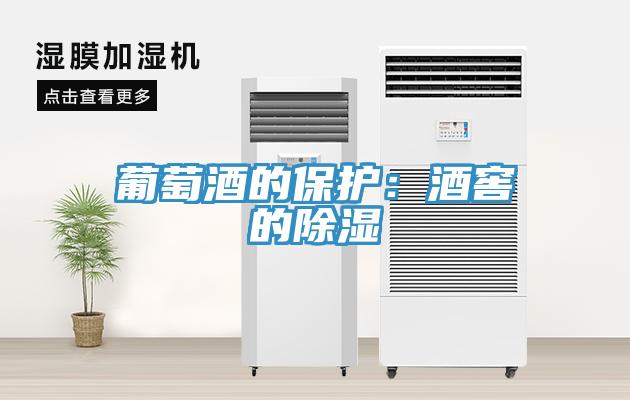 葡萄酒的保护：酒窖的除湿