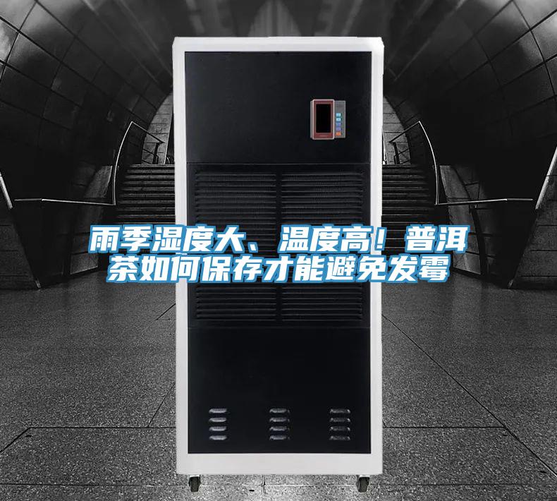 雨季湿度大、温度高！普洱茶如何保存才能避免发霉