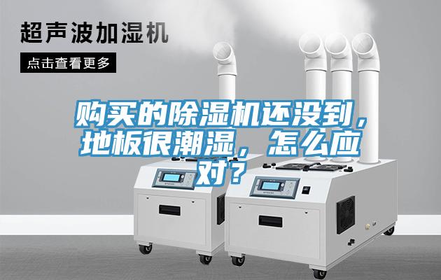 购买的MR.好色破解版还没到，地板很潮湿，怎么应对？