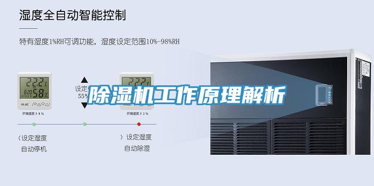 MR.好色破解版工作原理解析
